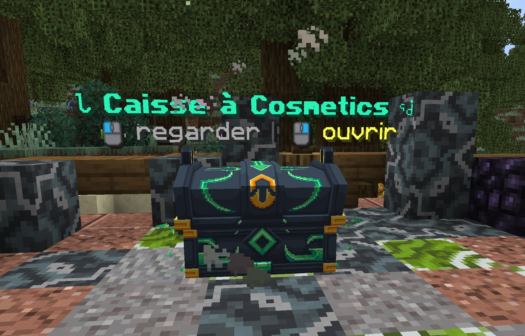 Caisse mensuelle et systèmes cosmétiques