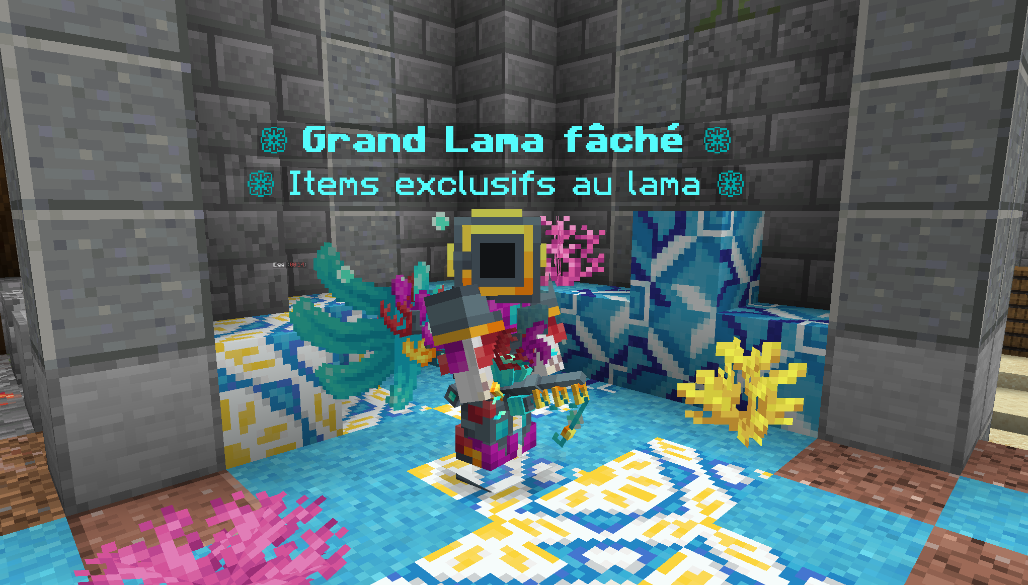 Univers et identité de Passionacraft